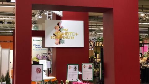 62 nouvelles plantes proposées par 37 exposants ont été récompensées dans 6 catégories.